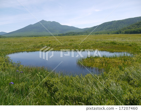 從Ozegahara Mount Mt. 17207460