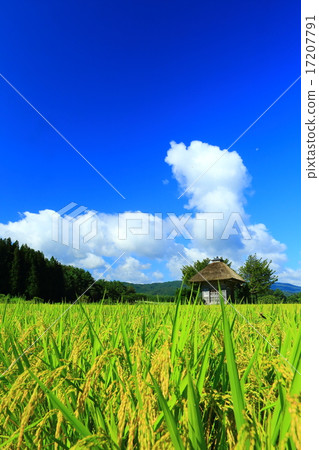 岩手縣遠野市Aki Arakin神社 17207791