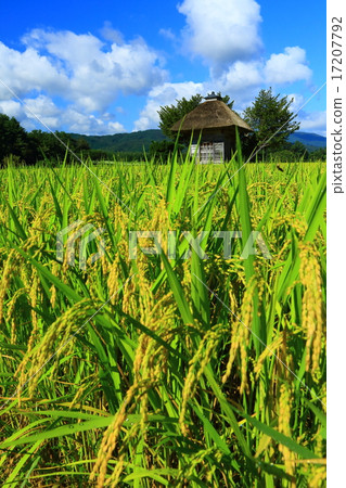 岩手縣遠野市Aki Arakin神社 17207792