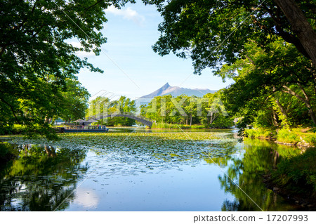 大沼國立紀念碑Komagatake 17207993