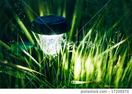 Small Solar Garden Light, Lantern In Flower Bed. Garden Design. Small Solar Garden Light, Lantern In Flower Bed. Garden Design. 17208878