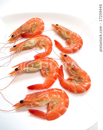 Boil shrimp fish shrimp 17209448