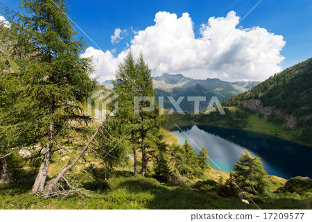 Lago di Campo - Adamello Trento Italy 17209577