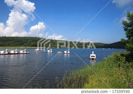 湖女神和鴨子 湖女神和鴨子 17209590