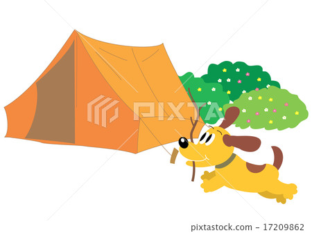 Dog collecting firewood at camp 17209862