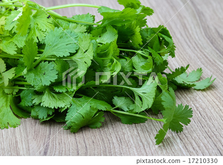 Coriander leaves 17210330