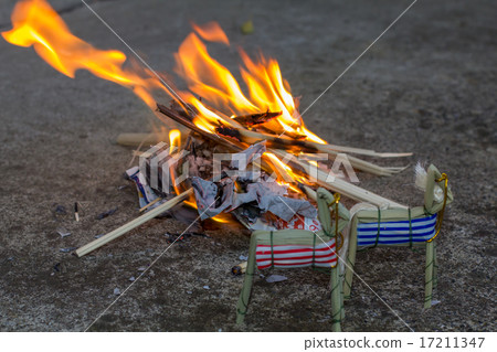 Firefly fire 17211347