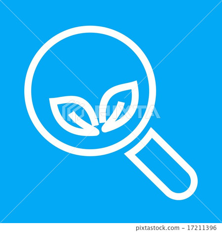 Organic Search 17211396