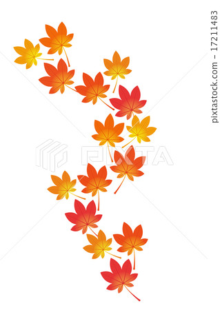 Autumn leaves 17211483
