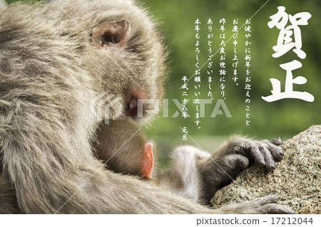 新年的卡片材料 新年的卡片材料 17212044