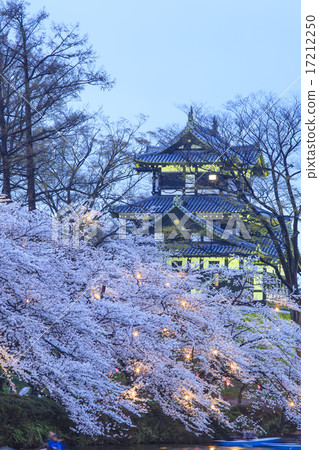 高田城和櫻花點亮了新潟縣上越市 17212250