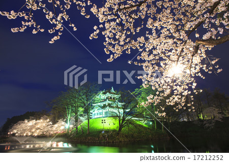 高田城和櫻花點亮了新潟縣上越市 17212252