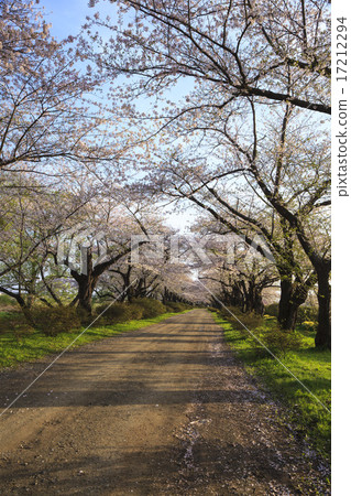 Kitakami Exhibition Kitakami-shi, Kami-shi, Iwate prefecture 17212294