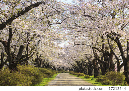 Kitakami Exhibition Kitakami-shi, Kami-shi, Iwate prefecture 17212344