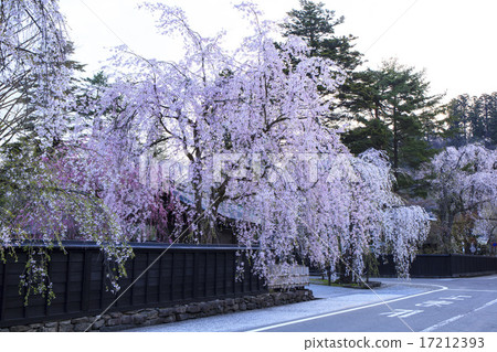 Kakanoda's ferns of citadel, Semboku, Akita prefecture 17212393