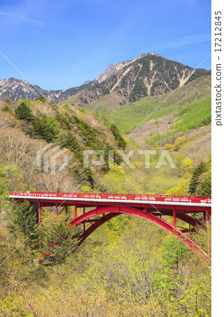 新鮮的綠色Yatsugatake和紅色橋樑山梨縣北斗市 17212845