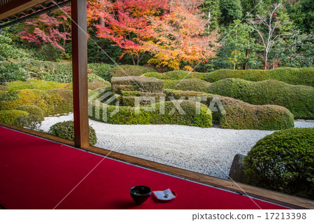 Together with autumn leaves of Oike Temple Together with autumn leaves of Oike Temple 17213398
