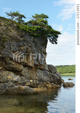 Seascape with rocks and groves of relict pine tree Seascape with rocks and groves of relict pine tree 17213451