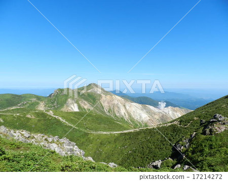 Summer Petrified Mt. 17214272