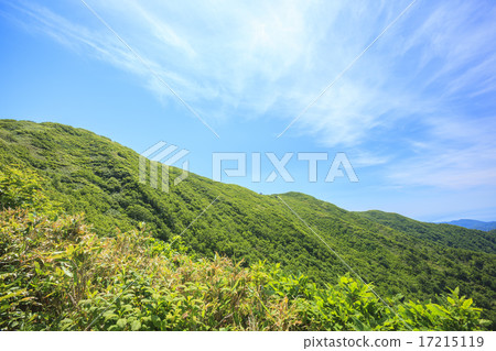 夏天青森縣深倉町的白神道 17215119