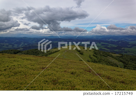 Meadow in the mountains. Mountain landscape. 17215749
