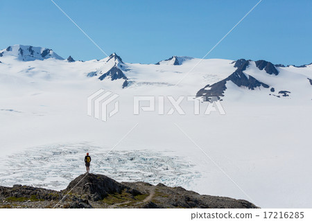 Hike in Exit glacier 17216285