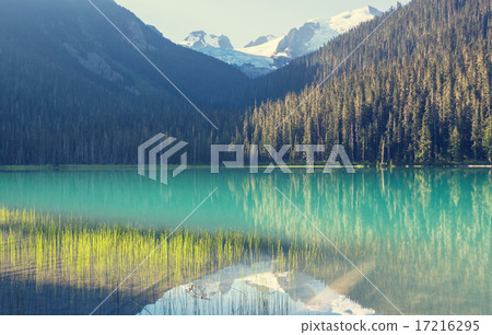 Joffre lake Joffre lake 17216295