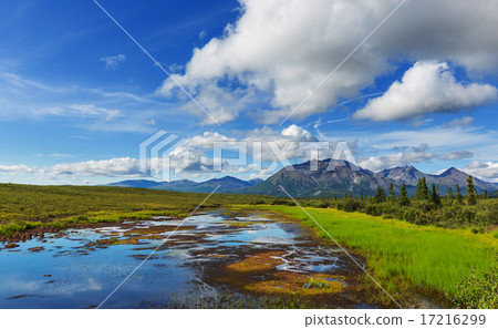 Lake on Alaska Lake on Alaska 17216299