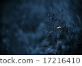 In the illusion 17216410