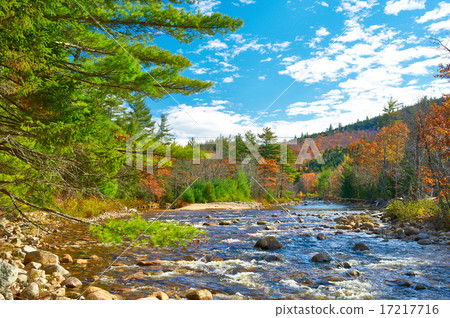 Swift River at autumn 17217716