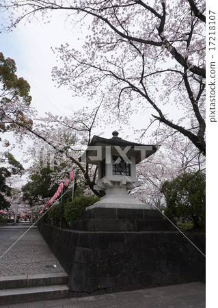Fuji main shrine Asama Shinsha 17218107