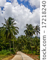 jungle street on Koh Chang Thailand 17218240