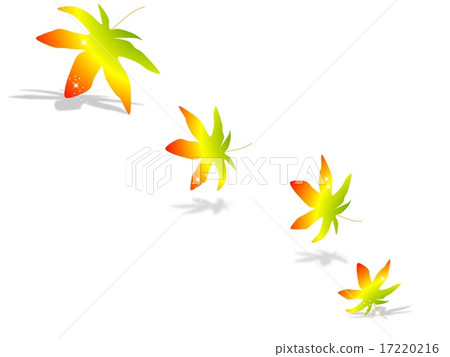 閃閃發光的楓樹 閃閃發光的楓樹 17220216