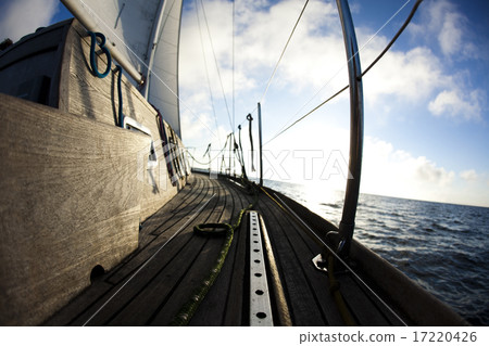 Sailing detail,summertime saturated colorful theme 17220426