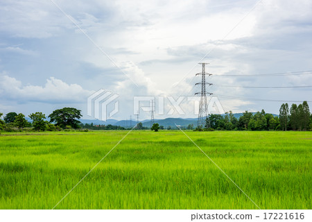 Electrical net of poles Electrical net of poles 17221616