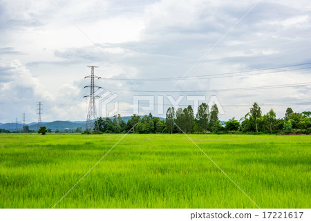 Electrical net of poles Electrical net of poles 17221617