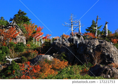 Genta rock of autumn leaves of Hachimantairi, Iwate Prefecture Genta rock of autumn leaves of Hachimantairi, Iwate Prefecture 17221753