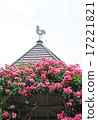 Roses and weathercocks 17221821
