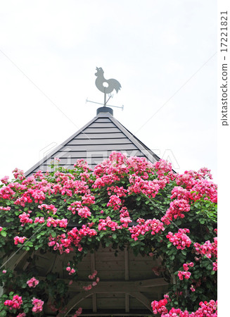 Roses and weathercocks 17221821
