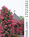 Roses and weathercocks 17221822