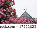 Roses and weathercocks 17221823