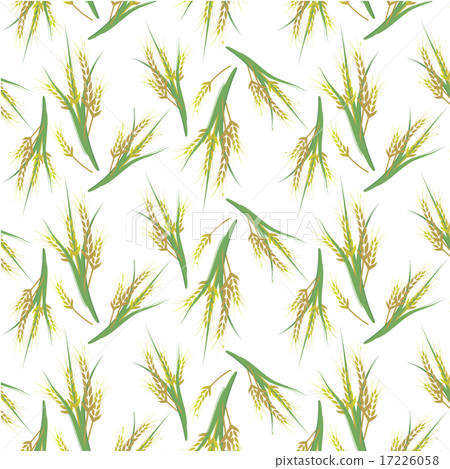 wheat rice vector seamless pattern background stock illustration 17226058 pixta https www pixtastock com illustration 17226058