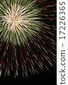 Fireworks 17226365