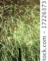 Fireworks 17226373