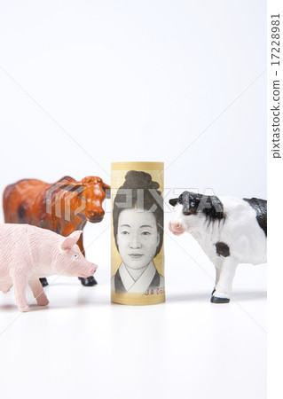 Foods Business_026 Foods Business_026 17228981