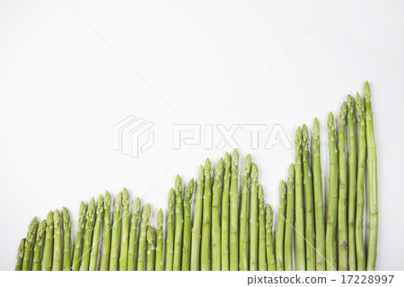 Foods Business_072 Foods Business_072 17228997