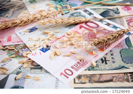 Foods Business_140 Foods Business_140 17229049