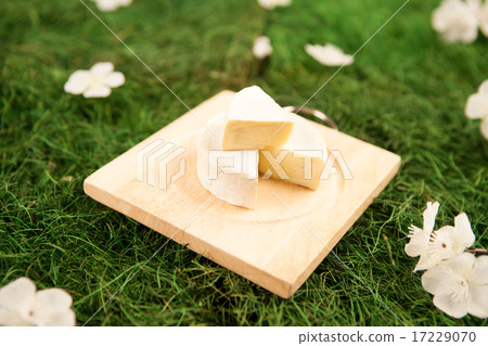 Foods Business_155 Foods Business_155 17229070