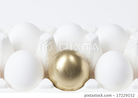 Foods Business_033 Foods Business_033 17229152