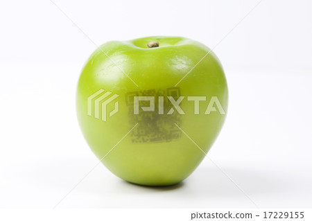 Foods Business_011 Foods Business_011 17229155